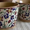 Oven Friendly Dishes<Nicholas Mosse 2 Custard Cups Wild Flower Meadow